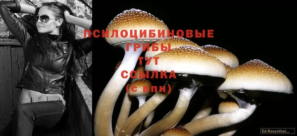 метадон Алзамай